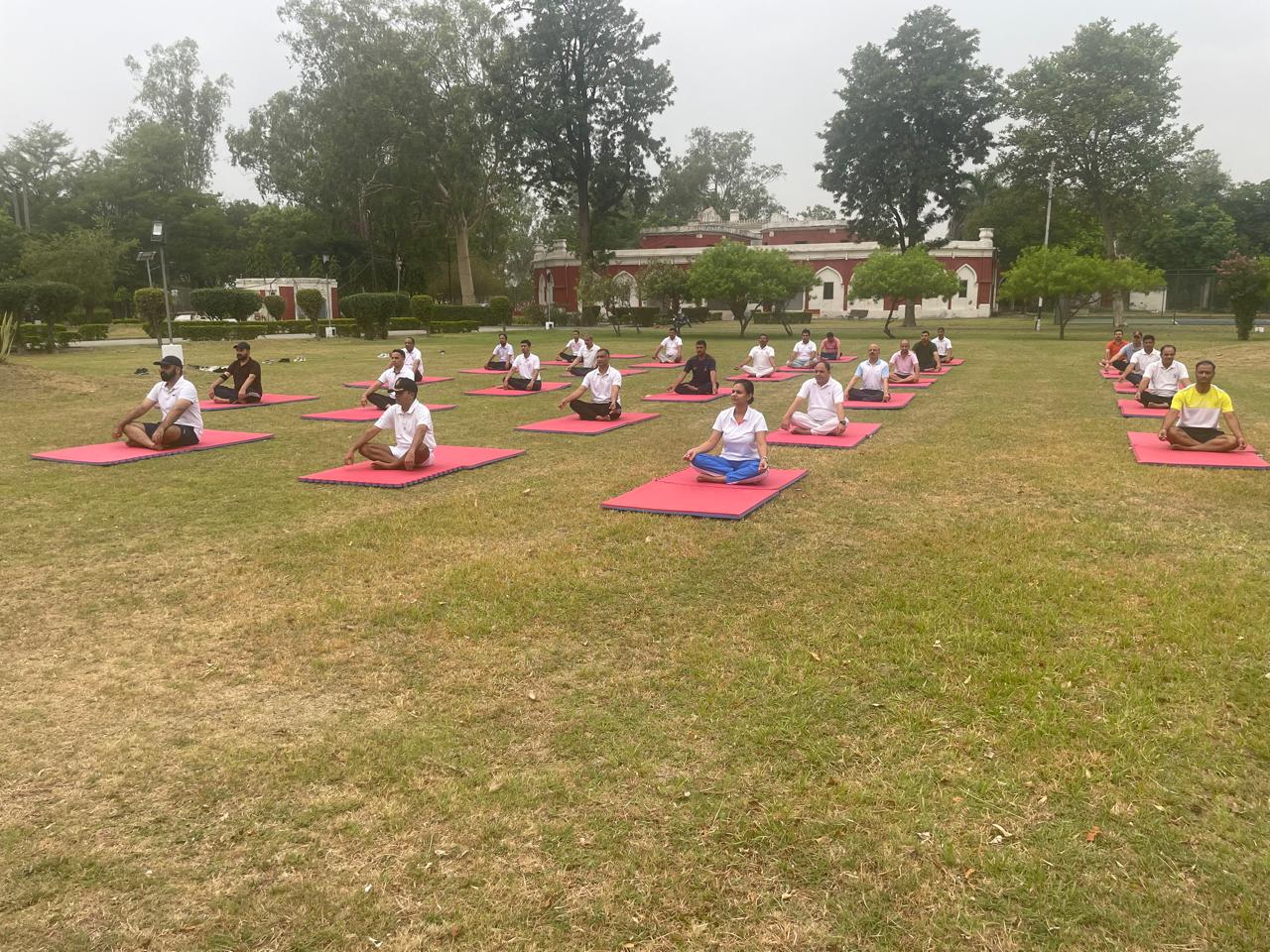 International Yoga Day 2024