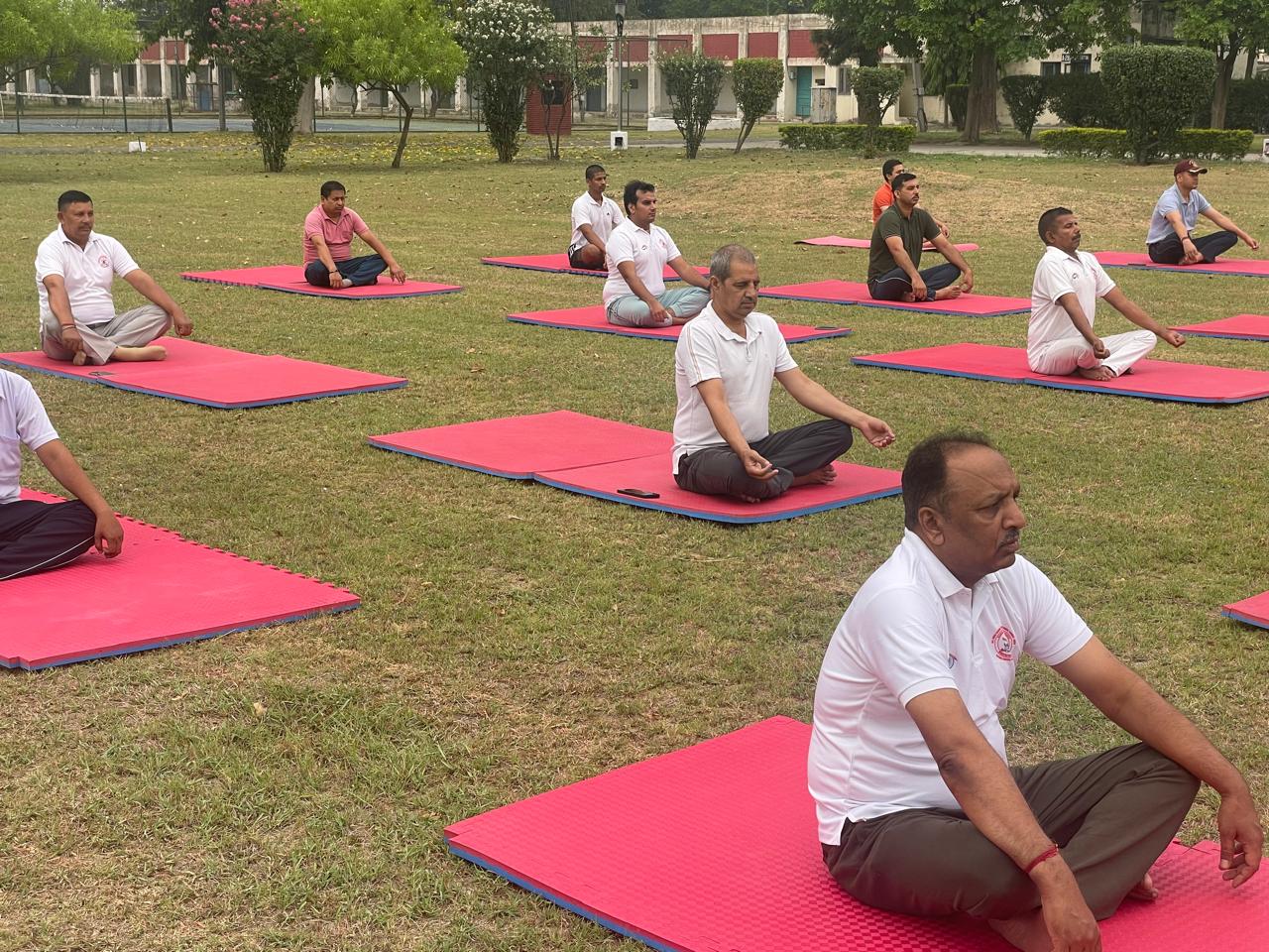 International Yoga Day 2024